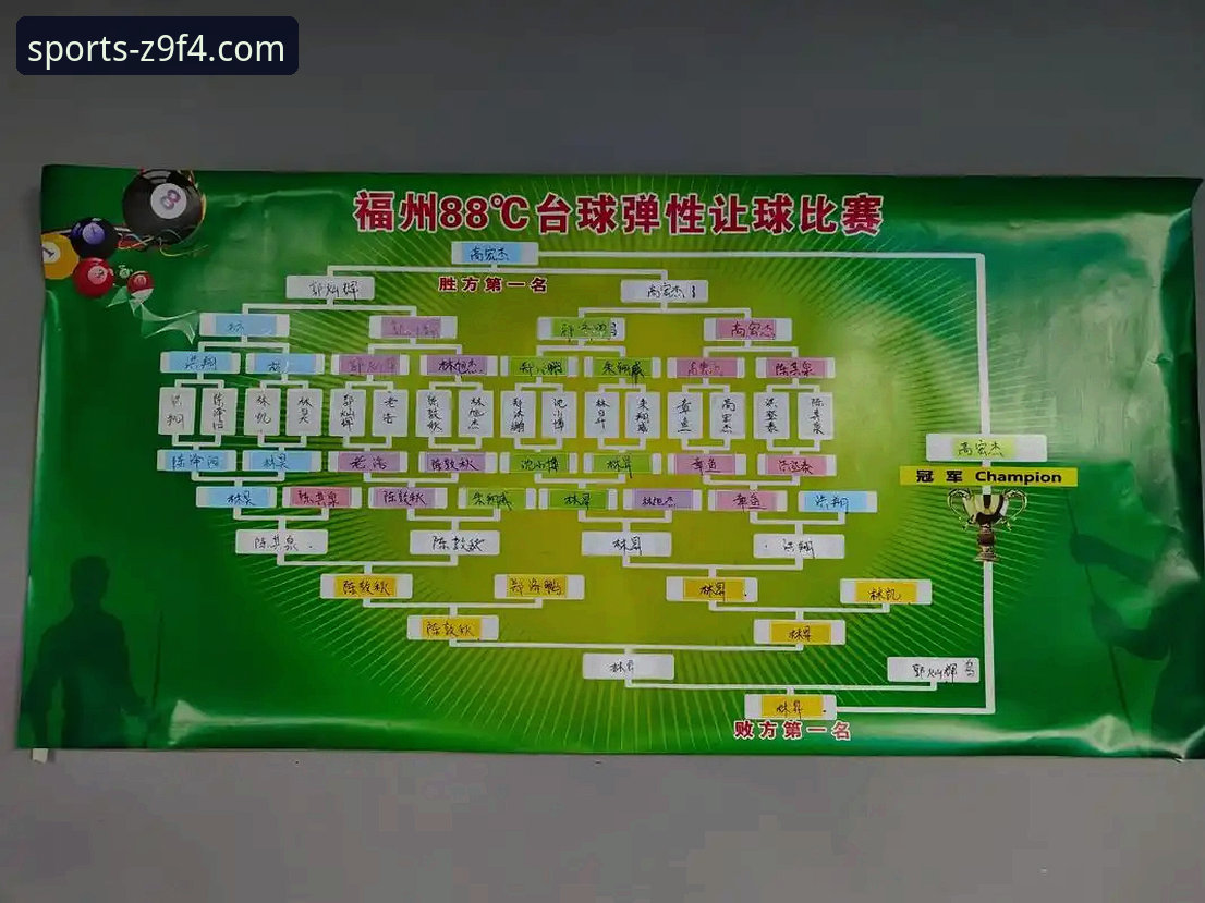 8868体育平台赛事体验对比：新手入门vs资深玩家的选择分析